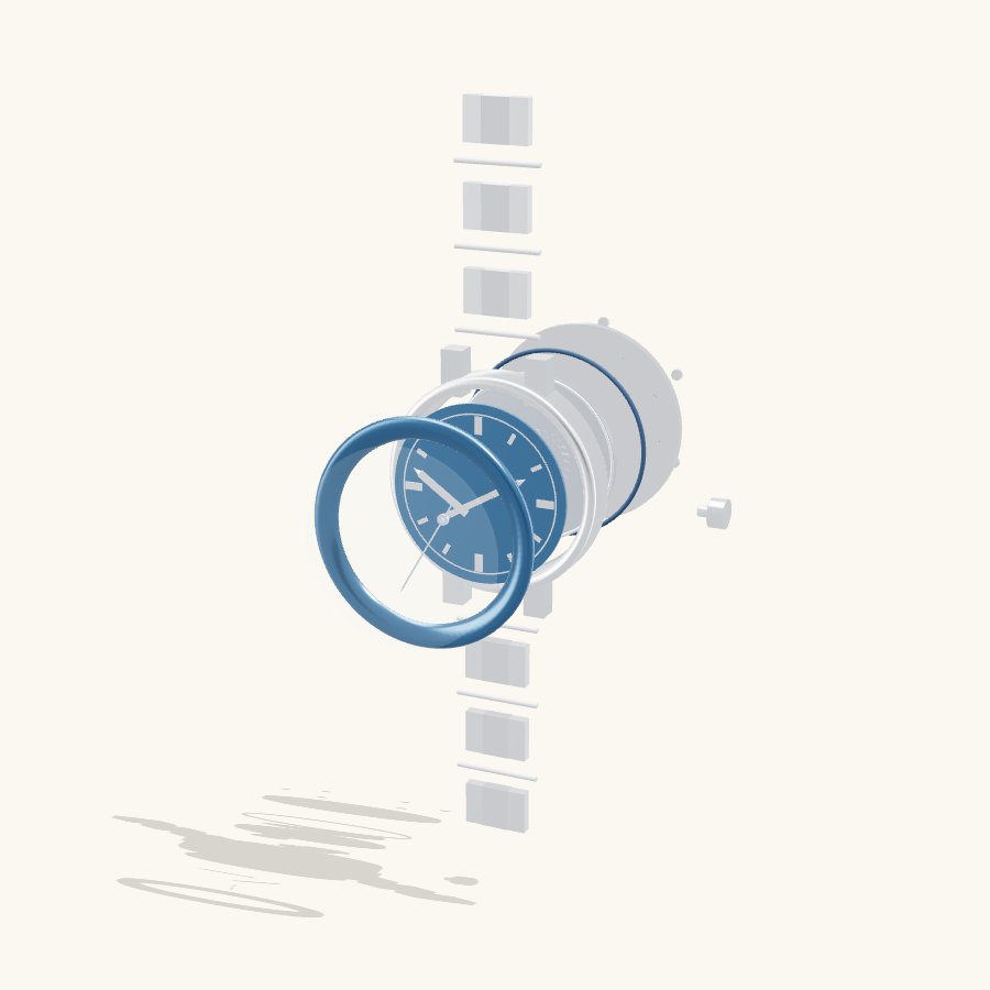 Exploded view of a luxury watch